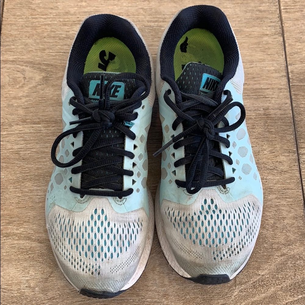 Nike Zoom Pegasus 31